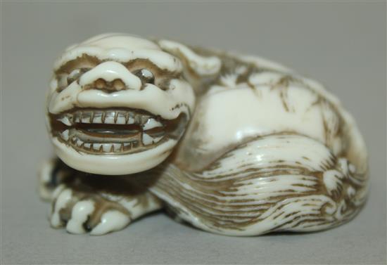 A Japanese ivory netsuke of a shi-shi, Edo period, 3.6cm